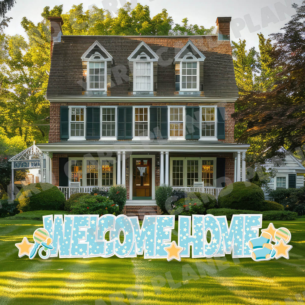 Welcome Home — Baby Boy Blue