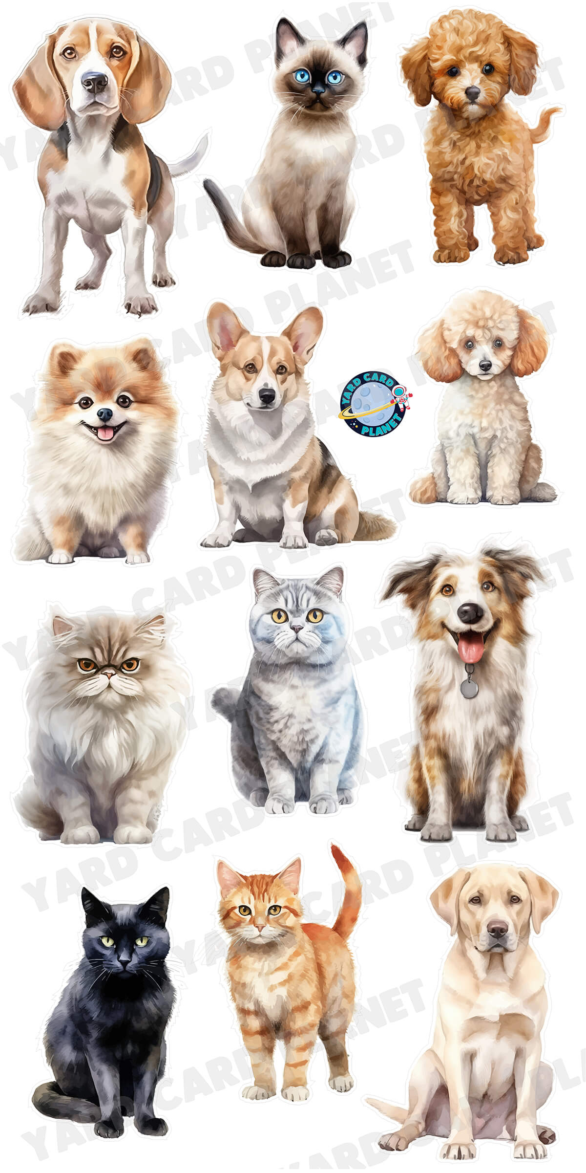 Cats Kittens Yard Cards - high quality UV High resolution Coroplast printing. HALF SHEET